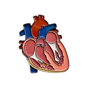 Colorful Anatomy Heart Organ Brooch Medical Enamel Lapel Badge Pins Jewelry Gift for Doctor Nurse Collection