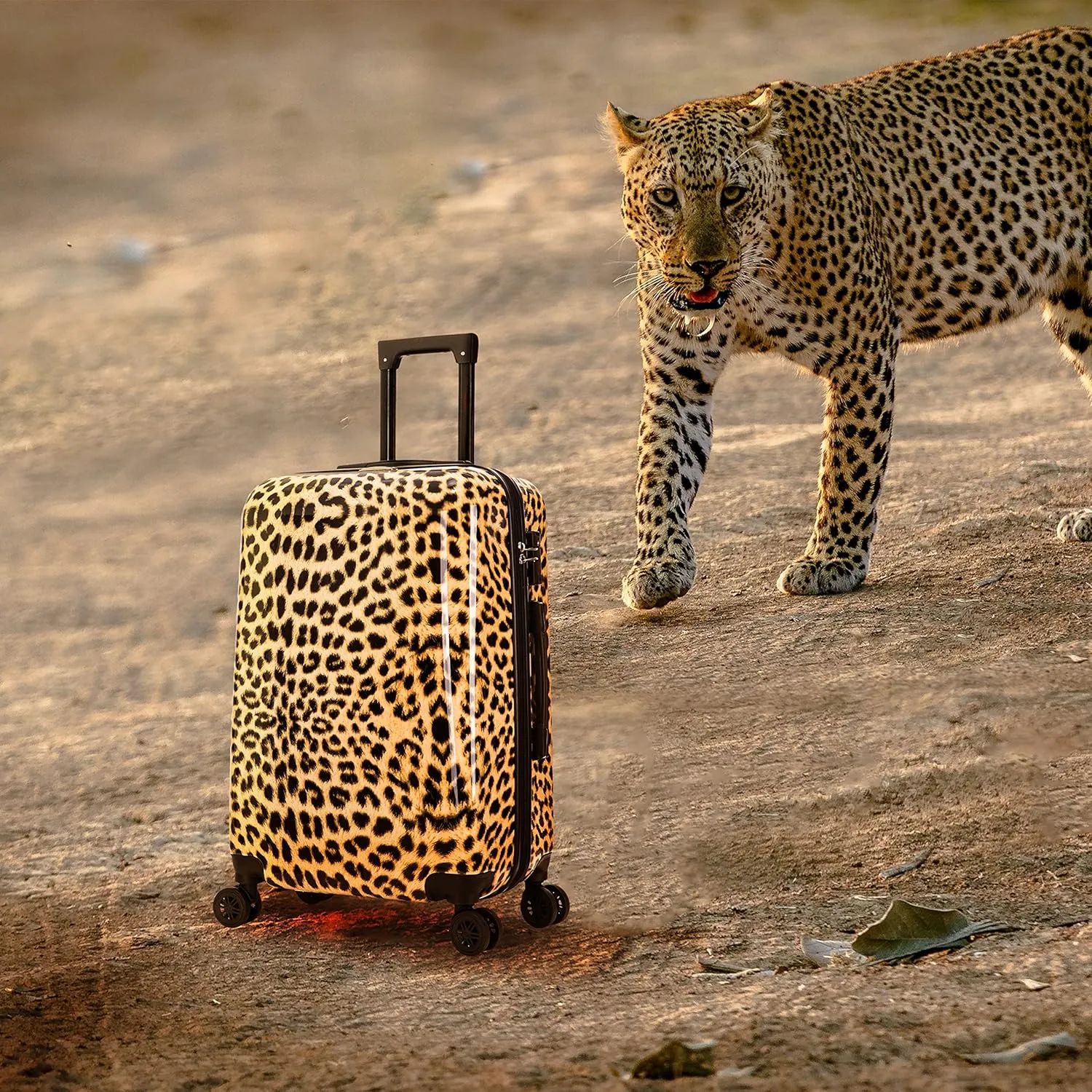 InUSA Cheetah Print Luggage with Spinner Wheels | Durable Lightweight Hardside Suitcase | Travel Bag with Handle and Trolley | 24-Inch Medium Checked luggage